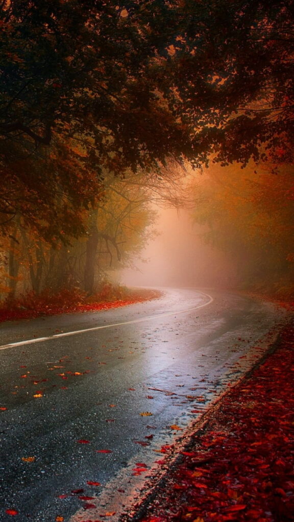 Sfondo telefono autunnale: strada sinuosa con alberi e foglie secche in un giorno nebbioso - Scarica gratis su Augurisalvati.com