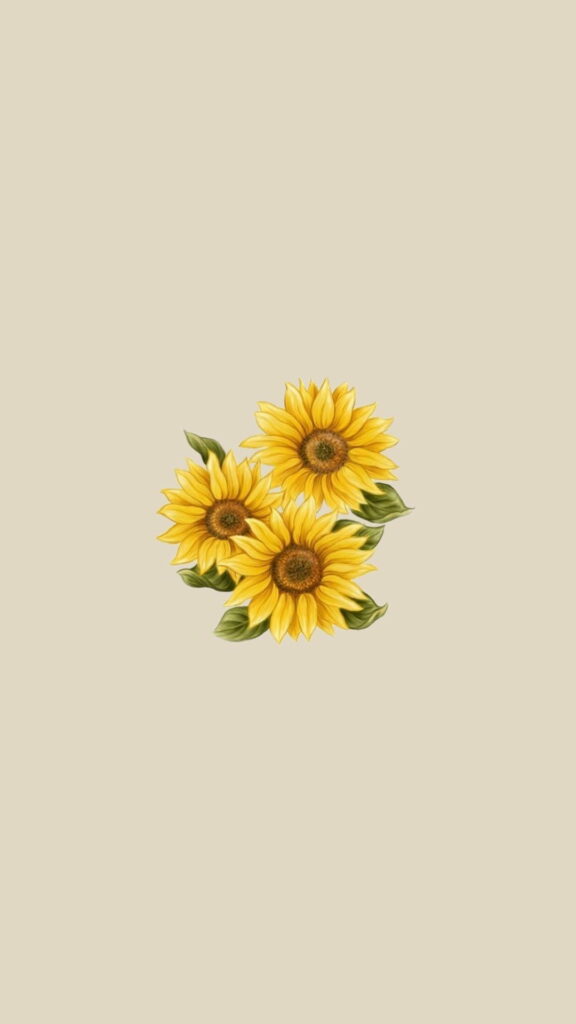 Sfondo telefono girasoli: un'illustrazione semplice ed elegante di tre girasoli gialli vibranti 
disposti insieme contro uno sfondo beige chiaro, con grandi centri marroni rotondi e petali 
dettagliati leggermente curvati, circondati da foglie verdi che aggiungono un tocco di contrasto 
ai toni caldi dei fiori - Scarica gratis su Augurisalvati.com